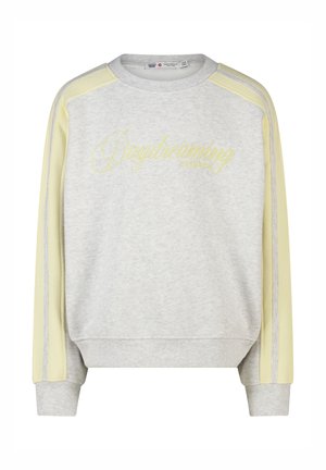 America Today, SWEATER - Sweatshirt - grey