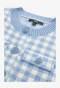 Selected, blue gingham