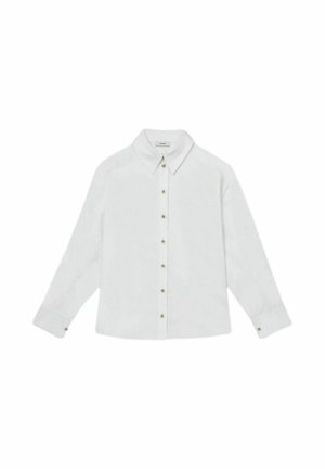 Witte lange mouw shirt met een puntige kraag, knoopsluiting met gouden hardware en een relaxte pasvorm. Gladde textuur, geen zichtbare patronen.