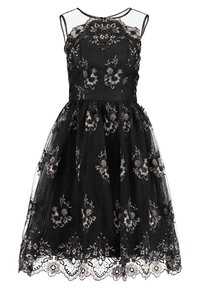 Černé šaty s květinovou výšivkou, průhledným síťovaným živůtkem a vrstvenou tylovou sukní. Obsahují propracovanou krajkovou lemovku na okraji.