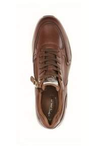 Tamaris SNEAKER MUSCAT  - Sneaker low - muscat