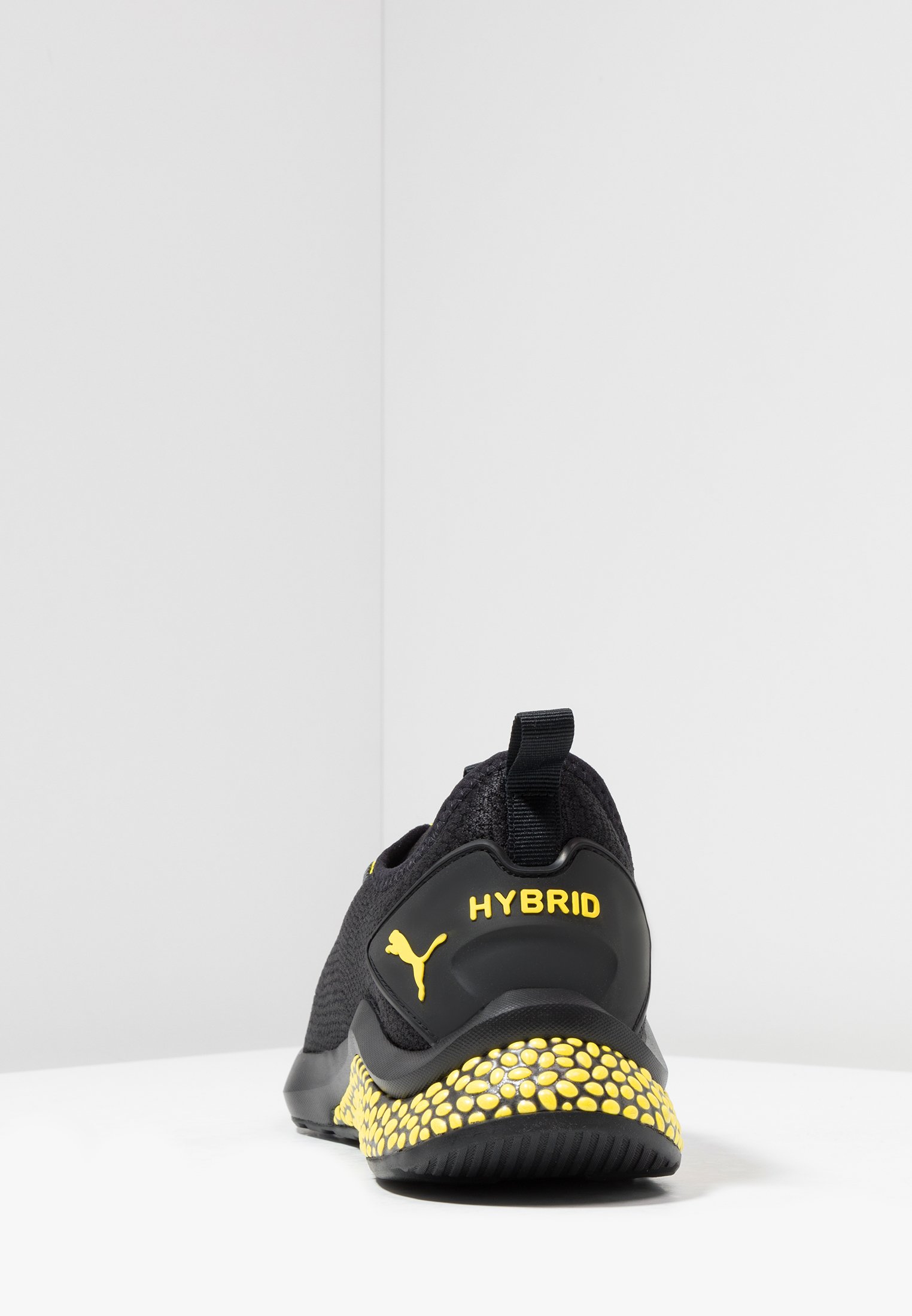 hybrid nx caution