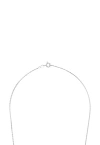 Silverhalsband med en fin kedjedesign och en fjäderringlås. Kedjan är slät med en enhetlig textur och utan dekorationer.