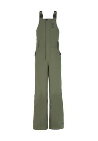 Pettorina verde isolata con spalline regolabili, zip anteriore e tasche laterali con zip. Presenta un logo sul petto e gambali larghi.