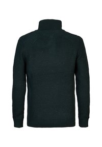 Donkergroene gebreide trui met een hoge kraag, een gestructureerd patroon, ribbelmanchetten en een losse pasvorm. De achterkant toont geen extra details.