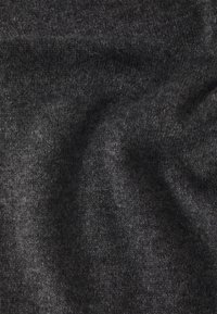 pure cashmere CLASSIC SCARF - Sciarpa - graphite