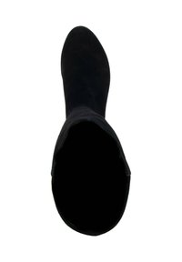 Botte noire en suede montant jusqu'au genou avec un bout pointu et une texture lisse ; présente un tige haute et ne comporte aucun embellissement ou matériel visible.