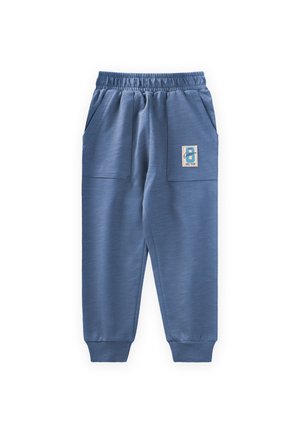 Donji dijelovi trenirke - blue
