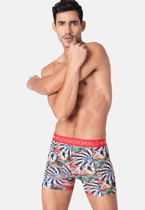 MUCHACHOMALO MEN 3-PACK JACKBEAN ALICEWONDER - Trumpikės - print print green