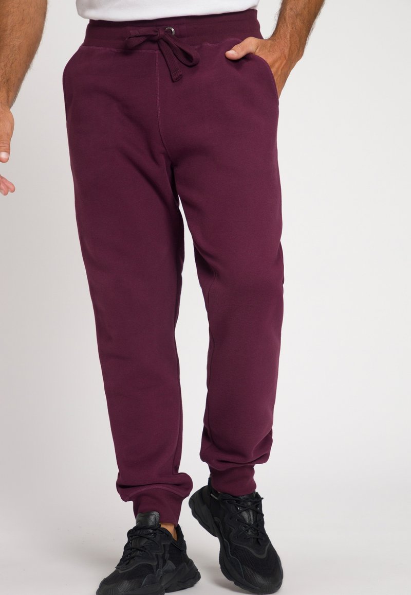 JP1880 Pantalones deportivos - dark purple