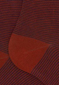 Calzini rigati con una combinazione di rosso scuro e blu navy, con una consistenza liscia e punte e talloni rinforzati in un solido rosso scuro.