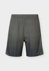 STEALTH TRAINING SHORTS - Sportiniai šortai - khaki/dark green
