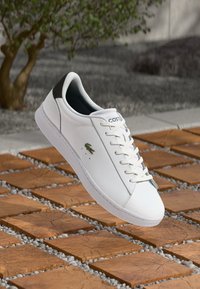 Hvite lær sneakers med snøringer, grønn logo på siden og mørkebrune detaljer på hælen. Flat såle på en teksturert treflate.