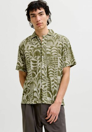 Mladý muž s tmavými vlasy, který má na sobě zelenou a béžovou krátkosrstou košili s listovým vzorem a tmavé kalhoty, stojí před jednobarevným pozadím.