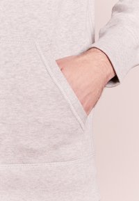 Polo Ralph Lauren Luvtröja - light grey