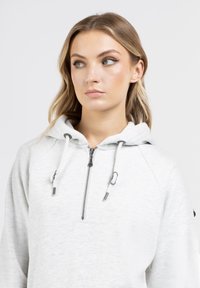 Felpa grigia chiara con zip, cappuccio, lacci e tasca a marsupio. Presenta polsini a coste e una consistenza morbida. Dettaglio della zip argento notevole.