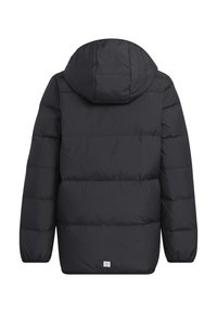 Sort pufferjakke med hætte, med en quiltet tekstur og elastiske manchetter, designet til varme og komfort. Bageste udsigt.
