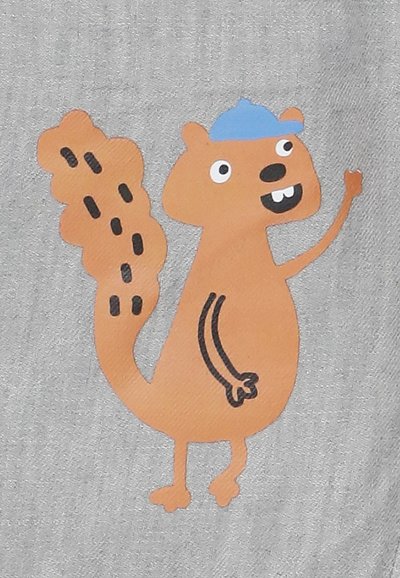 Design di uno scoiattolo in stile cartone animato su uno sfondo grigio, con corpo arancione, cappello blu e dettagli neri sulla coda e sull'arto.