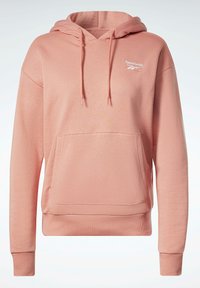 Reebok Jersey con capucha - red