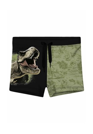 Schwarze und olivgrüne Shorts mit einem brüllenden T-Rex-Kopf auf der einen Seite und verblassten Dinosaurierillustrationen auf der anderen Seite, mit einem schwarzen Kordelzug.