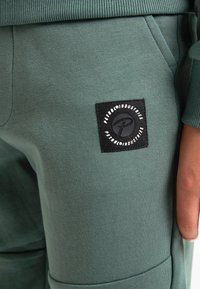 Zelené tepláky mají žebrovaný pas, boční kapsy a černou nášivku s logem "Petrol Industries" na stehně. Měkká textilie.