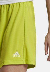 adidas Performance ENTRADA22 SHORTS - Korte broeken - gruenweiss