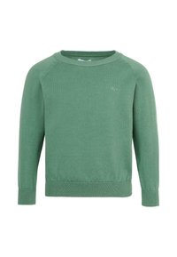 Pull en tricot vert clair avec un col rond, des manches longues et des poignets et un ourlet côtelés. Présente un branding discret à l'avant.
