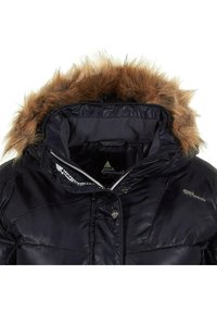 Peak Mountain ALESA - Veste d'hiver - dark blue