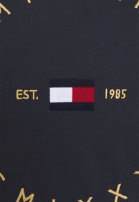 Tommy Hilfiger Triko s potiskem - blue