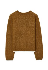 Bronzefarbener Strickpullover mit rundem Ausschnitt, Raglanärmeln und weißem Rippbündchen an Saum und Ärmeln. Weicher, strukturierter Stoff.