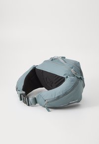 A blue fabric hip bag with adjustable strap, dual zippers, a textured black back panel, and reflective accents for visibility.