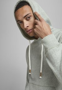 Jack & Jones JORPAUL TONS NOOS - Kapuzenpullover - hellgrün