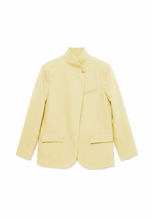 Vero Moda, BLAZER VMBECCA BLAZER - Blazer - anise flower