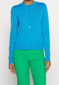 Blå knap-up cardigan av mjukt stickat material, med långa ärmar, rund halsringning och ribbad nederkant och ärmslut. Matchas med gröna byxor.