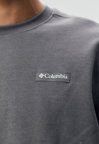 Gray sweatshirt featuring a ribbed crew neck and a stitched Columbia logo patch on the chest. Material appears soft and textured.