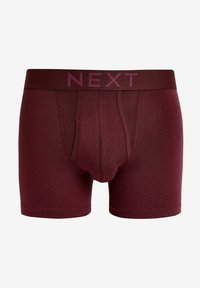 Next A FRONTS 10 PACK - Apakšbikses - rich brights