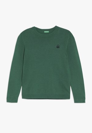 Zielony sweter dziany z okrągłym dekoltem, długimi rękawami, ściągaczami na mankietach i na dole oraz małym czarnym logo na piersi.