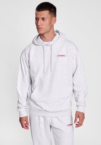 Hoodie gris en mélange de coton, avec une poche kangourou à l'avant, des cordons de serrage et un petit logo rouge et bleu sur la poitrine.