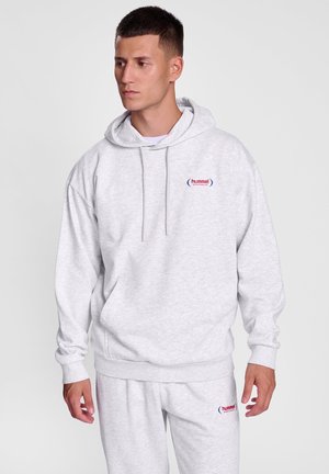 Grijze hoodie van een katoenmix, met een kangaroozak aan de voorkant, trekkoorden en een klein rood en blauw logo op de borst.