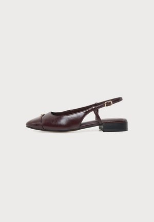 Ciemnobrązowy płaski but typu slingback z ostrym noskiem, niskim czarnym obcasem, cienkim paskiem na kostce i złotą klamrą, widziany z boku na białym tle.