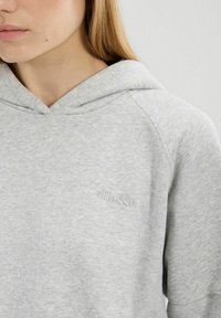 Hellgrauer Kapuzenpullover mit weichem Stoff, gefütterter Kapuze und kleinem gesticktem Logo auf der Brust, mit Raglanärmeln für zusätzlichen Komfort.