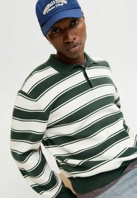 Zaļi un balti svītrots adīts polo džemperis ar apkakli, ar garām piedurknēm un ribotām aprocēm. Valkāts ar zilu cepuri.