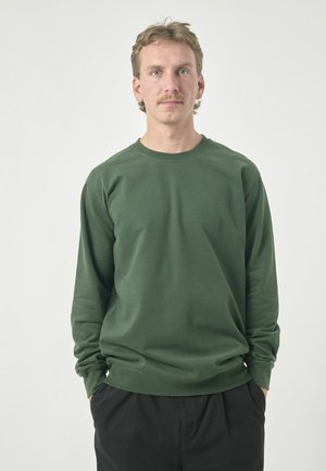 Grünes Sweatshirt mit langen Ärmeln aus weichem Material, mit Rundhalsausschnitt, gerippten Bündchen und einem kleinen Logo auf der linken Brust.