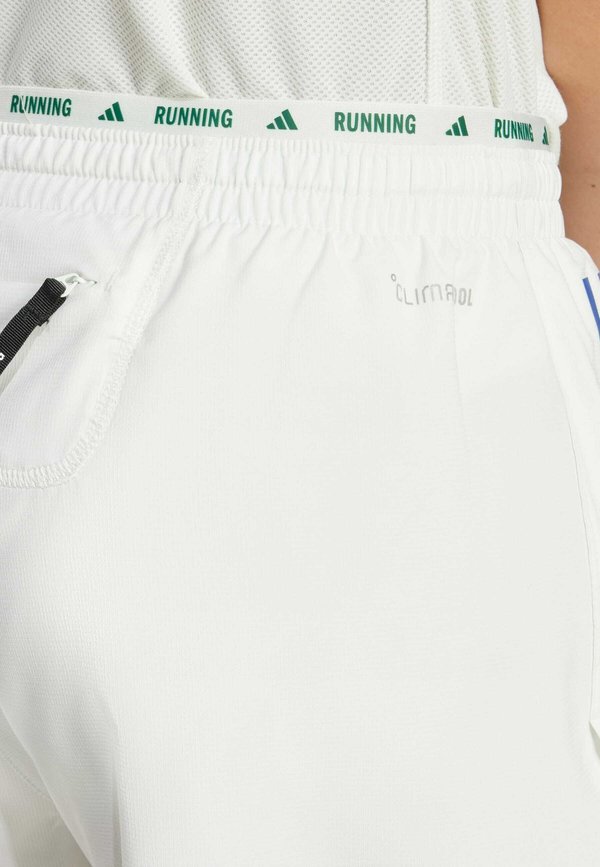 SHORT - Sports shorts - crystal jade3