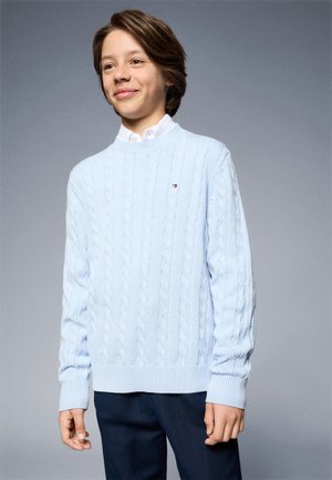 Pull en maille torsadée bleu clair avec col rond, poignets et ourlet côtelés, arborant un petit logo sur la poitrine. Porté sur une chemise blanche à col.