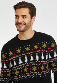 Threadbare CHRISTMAS - Trui - black