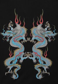 Ed Hardy DOUBLE BATTLE DRAG THRU  - Felpa con zip - black