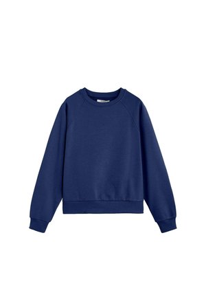 Scalpers, SCALPERS SCCAVIAR SKULL BACK SWEATER - Sudadera - blue