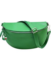 Groene leren schoudertas met een gebogen vorm, gestructureerd oppervlak, zilveren rits en verstelbare schouderband. Bevat een klein vlagdetail.