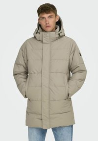 Beige isolierter Parka mit hohem Kragen und Kapuze, mit einem gesteppten Design und zwei frontalen Taschen. Weicher Stoff mit glatter Textur.